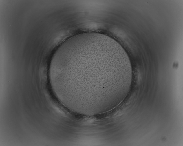 X0000094450642200711211519