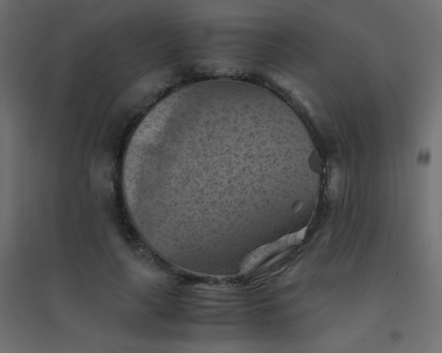 X0000094450643200711211519