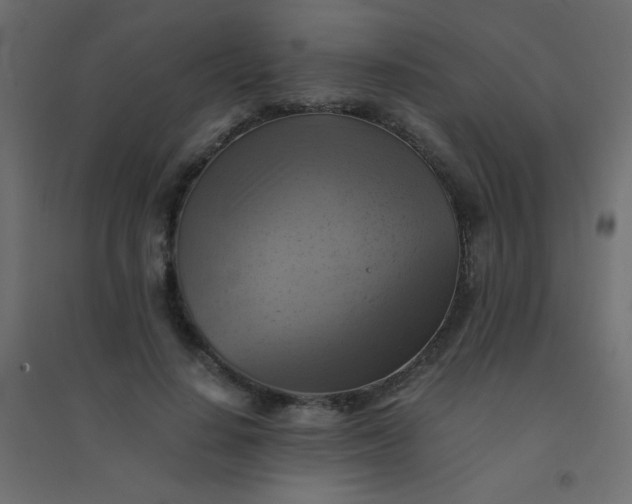 X0000094450644200711211519