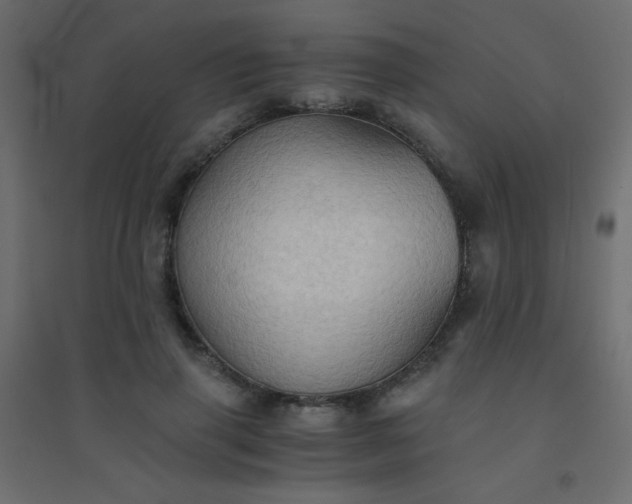 X0000094450645200711211519