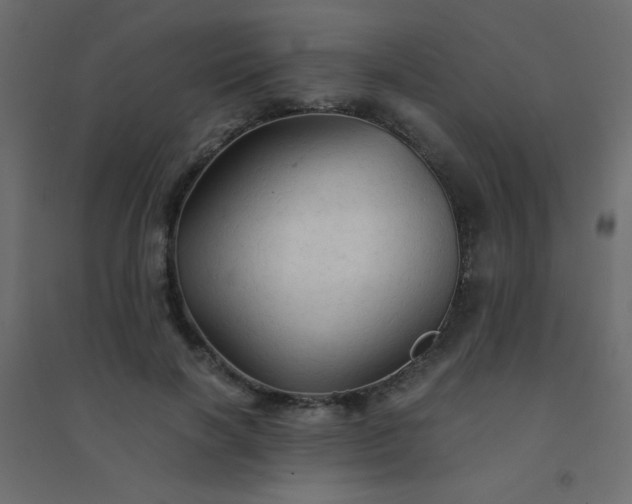 X0000094450646200711211519