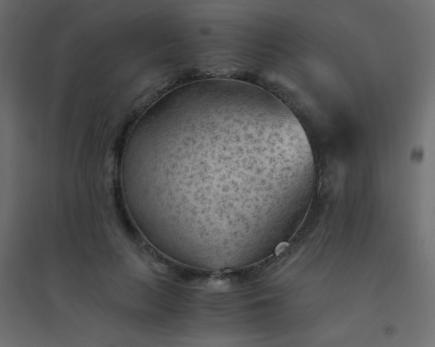 X0000094450647200711211519