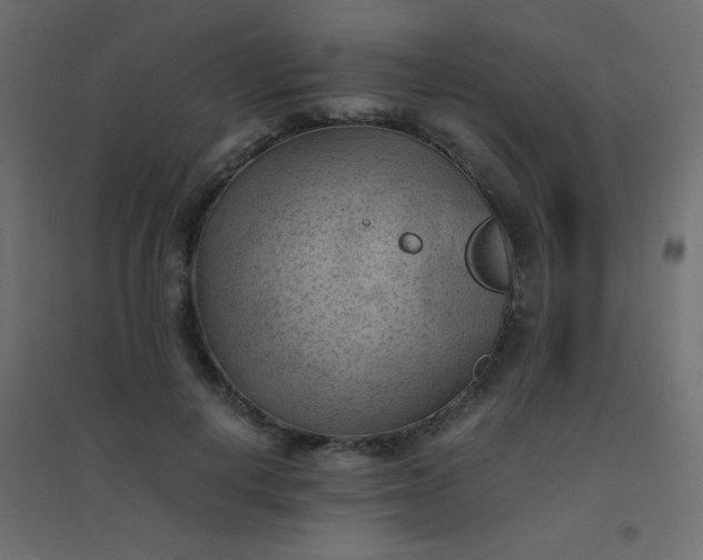 X0000094450648200711211519