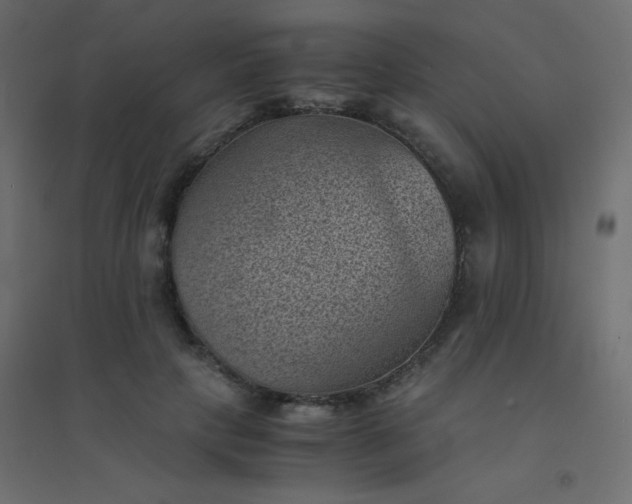 X0000094450649200711211519