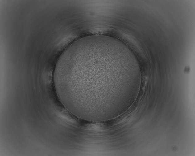 X0000094450652200711211519