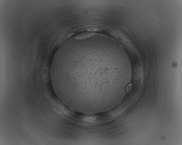 X0000094450653200711211519