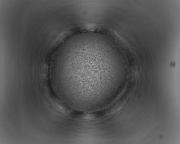 X0000094450656200711211519