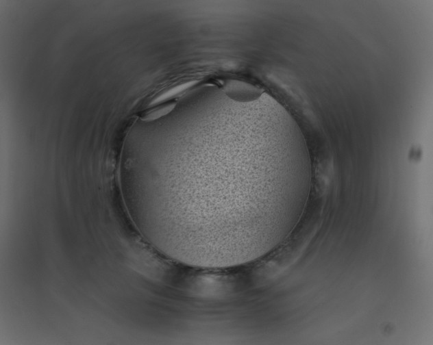 X0000094450657200711211519