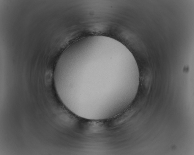 X0000094450660200711211519