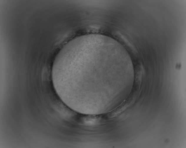 X0000094450661200711211519