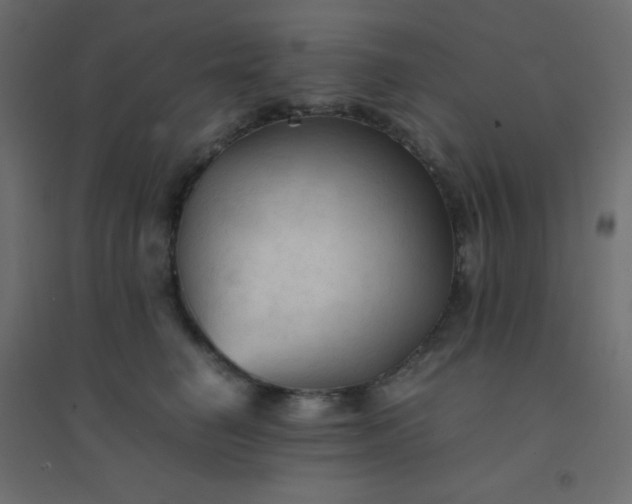 X0000094450662200711211519