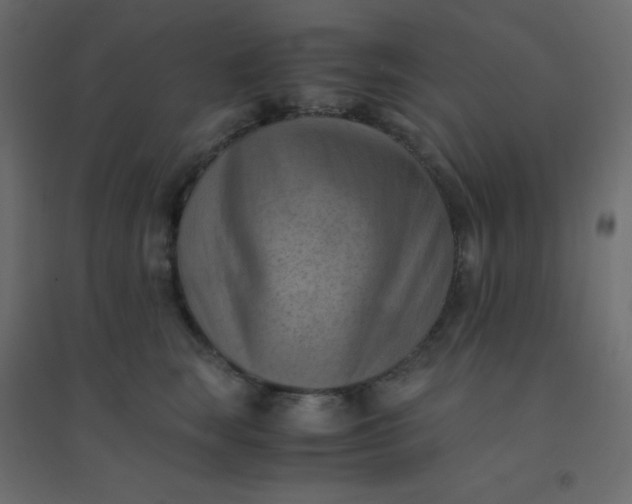 X0000094450663200711211519