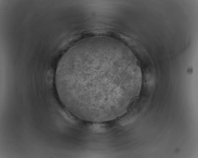 X0000094450664200711211519