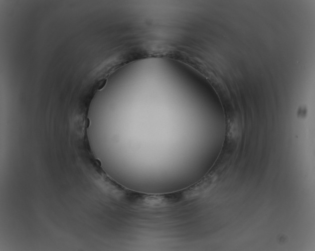 X0000094450666200711211520