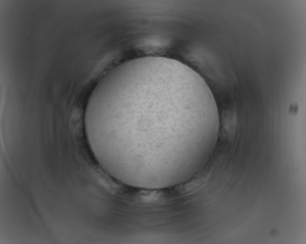 X0000094450667200711211520