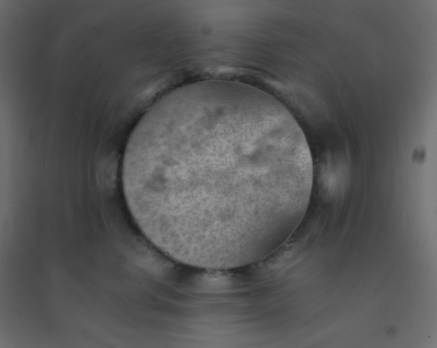 X0000094450668200711211520