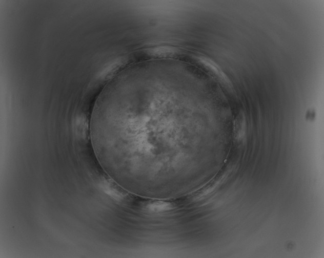 X0000094450669200711211520