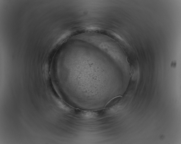 X0000094450670200711211520