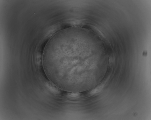 X0000094450671200711211520