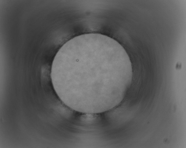 X0000094450672200711211520