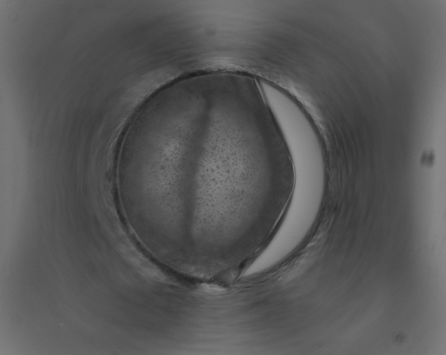 X0000094450673200711211519