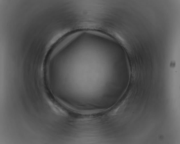 X0000094450674200711211519