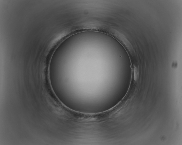 X0000094450675200711211519