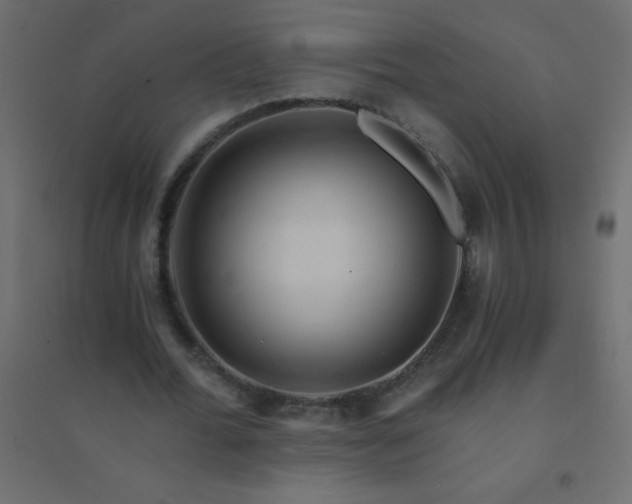 X0000094450676200711211519