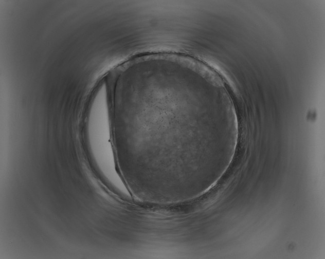 X0000094450677200711211519