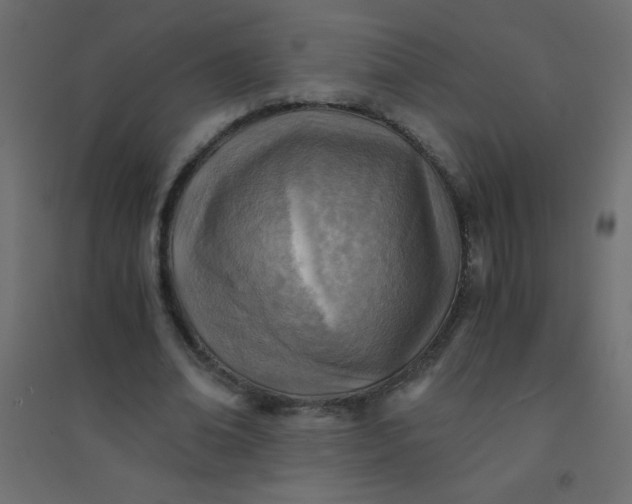 X0000094450678200711211519