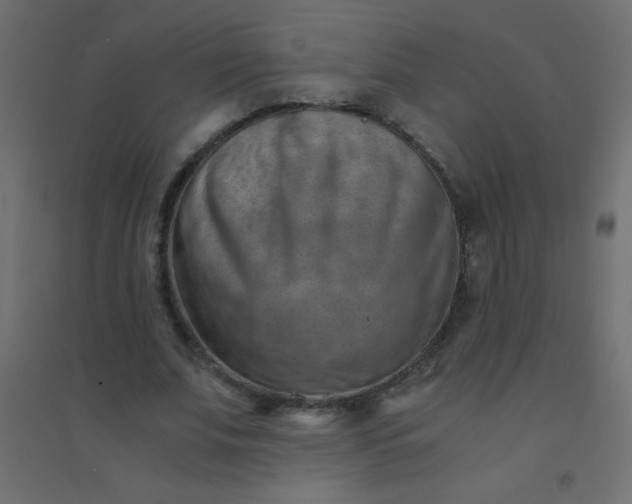 X0000094450679200711211519