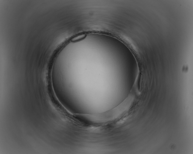 X0000094450680200711211519