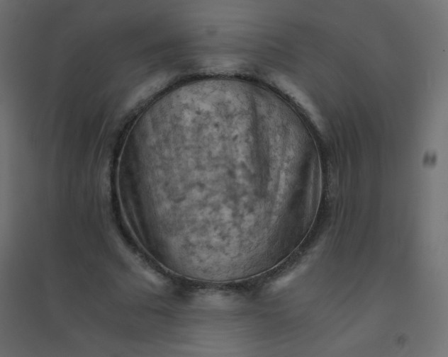 X0000094450681200711211519