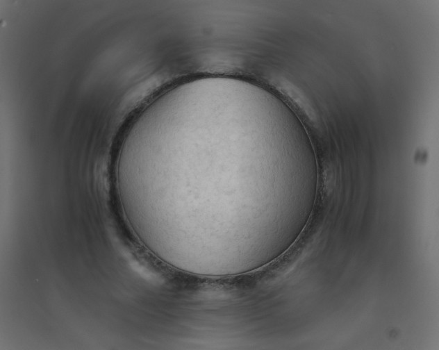 X0000094450682200711211519