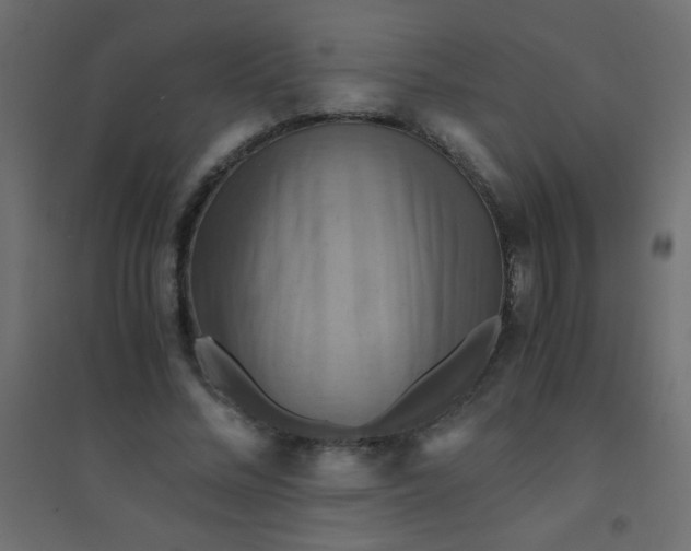 X0000094450684200711211519