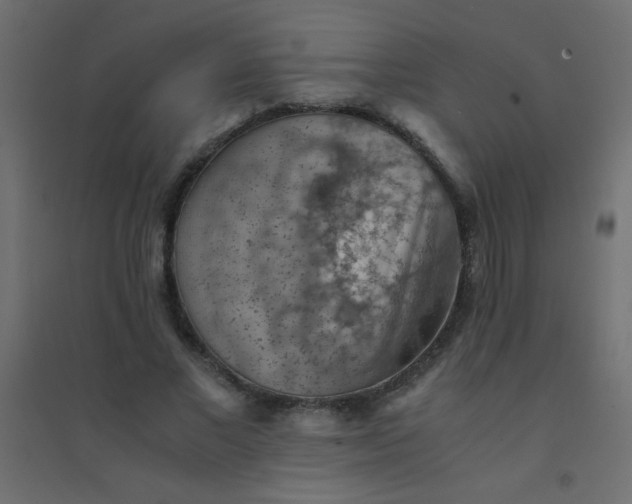 X0000094450685200711211519