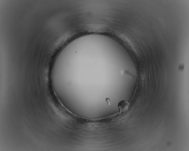 X0000094450686200711211519