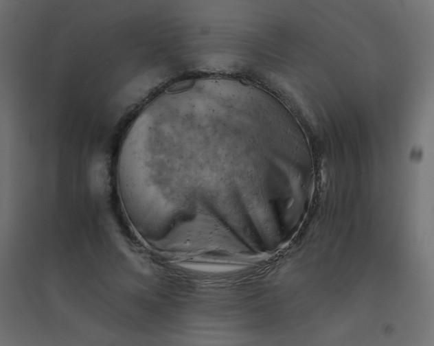 X0000094450688200711211519