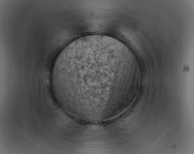 X0000094450689200711211519