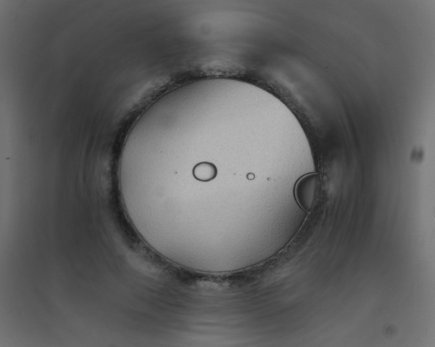 X0000094450690200711211519