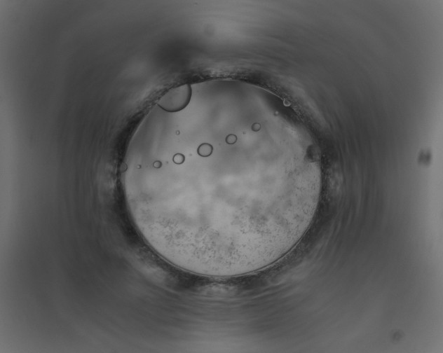 X0000094450691200711211519