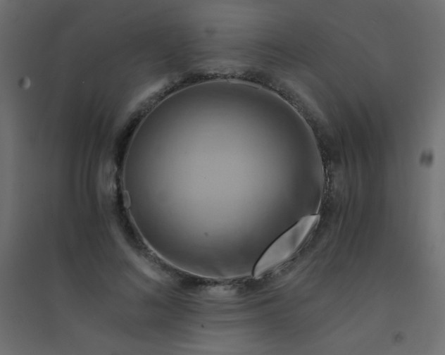 X0000094450692200711211519