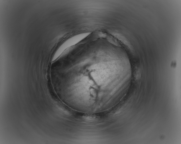 X0000094450693200711211519