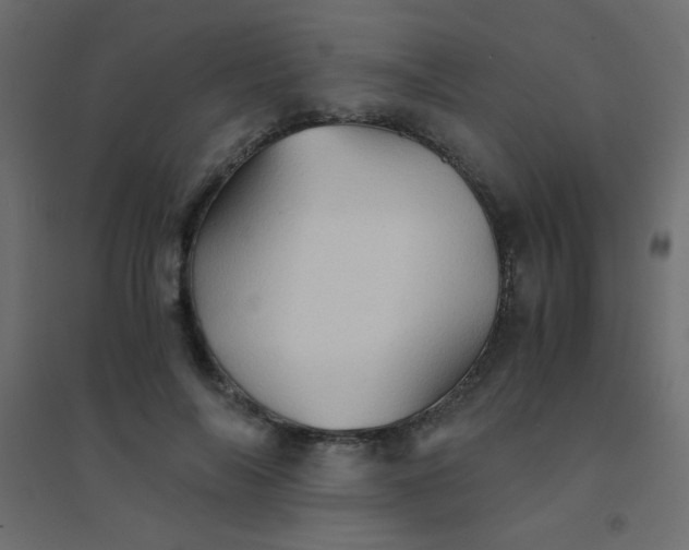 X0000094450694200711211519