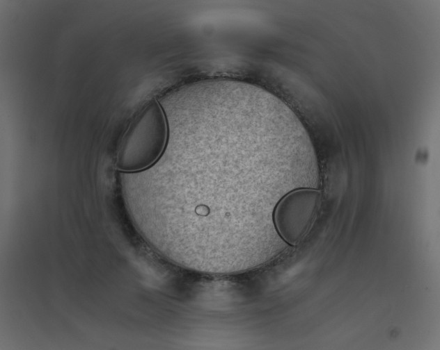 X0000094450695200711211519