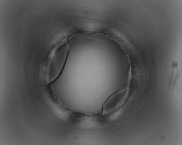 X0000094450696200711211519