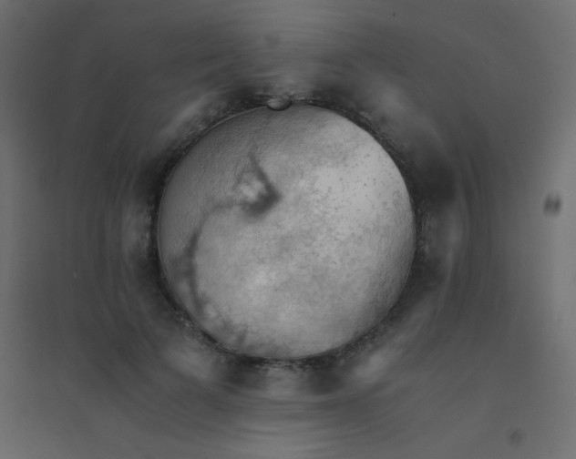 X0000094450697200711211519