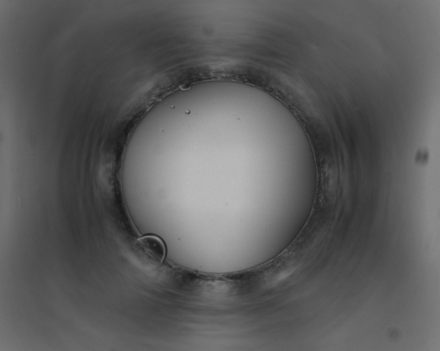 X0000094450698200711211519