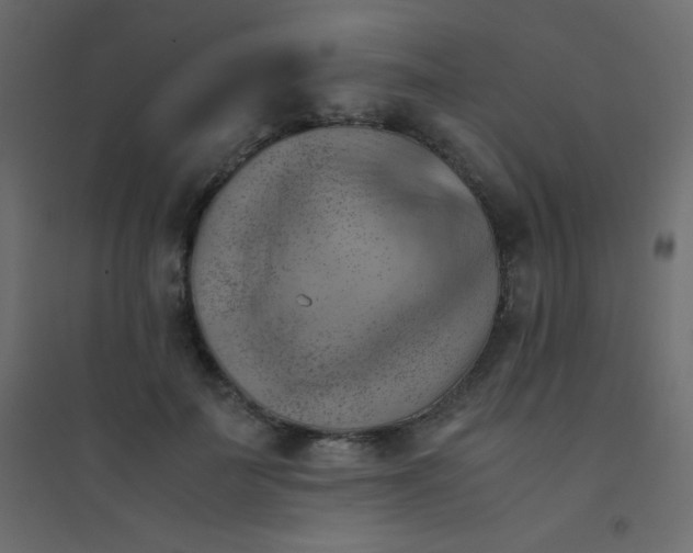 X0000094450699200711211519