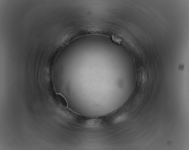 X0000094450700200711211519